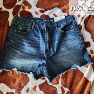 American Eagle Outfitters curvy 90s boyfriend shorts nwt size 12